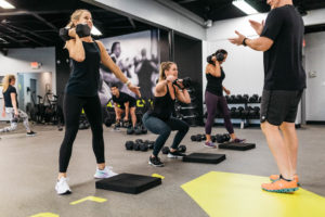 alloy fayetteville ny