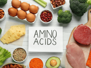 amino acids build muscles